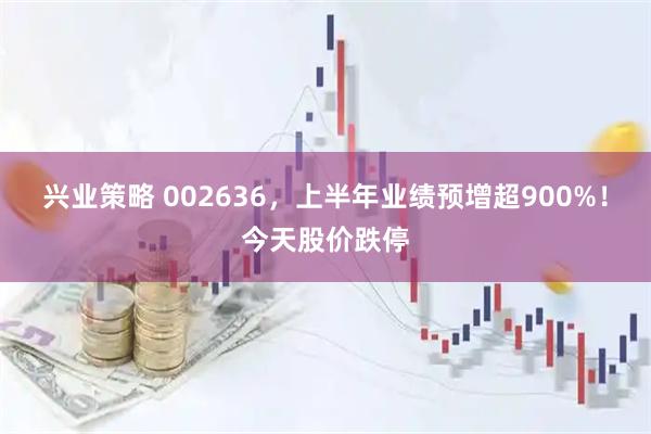 兴业策略 002636，上半年业绩预增超900%！今天股价跌停