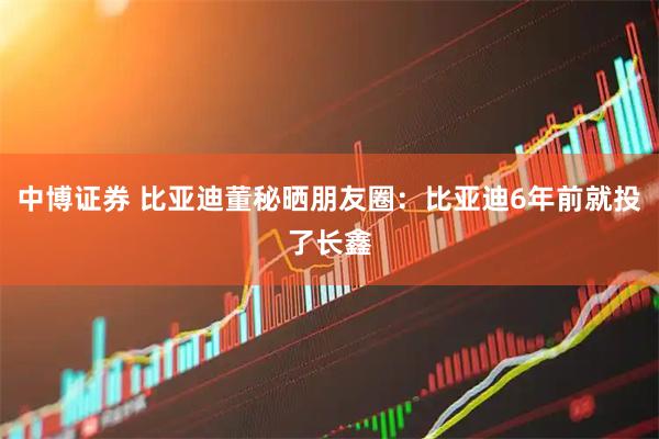 中博证券 比亚迪董秘晒朋友圈：比亚迪6年前就投了长鑫