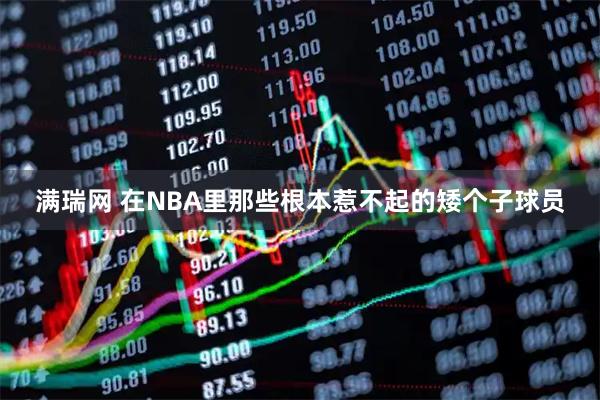 满瑞网 在NBA里那些根本惹不起的矮个子球员
